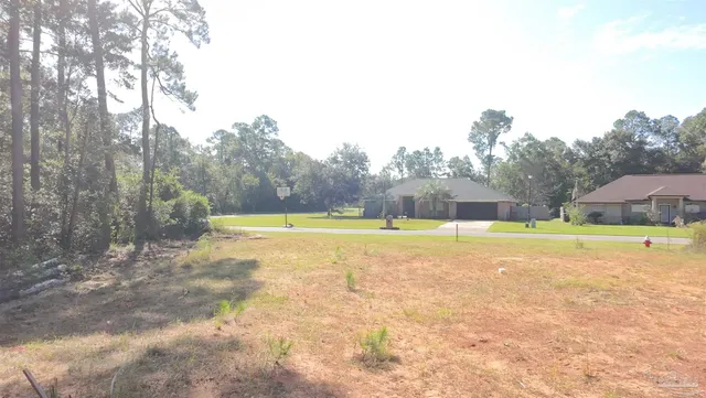 a view of a tree in a yard