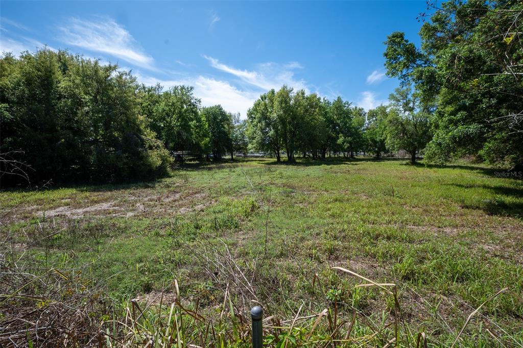 2910 Frank Moore Road Plant City, FL 33566 - Photo 9 of 9