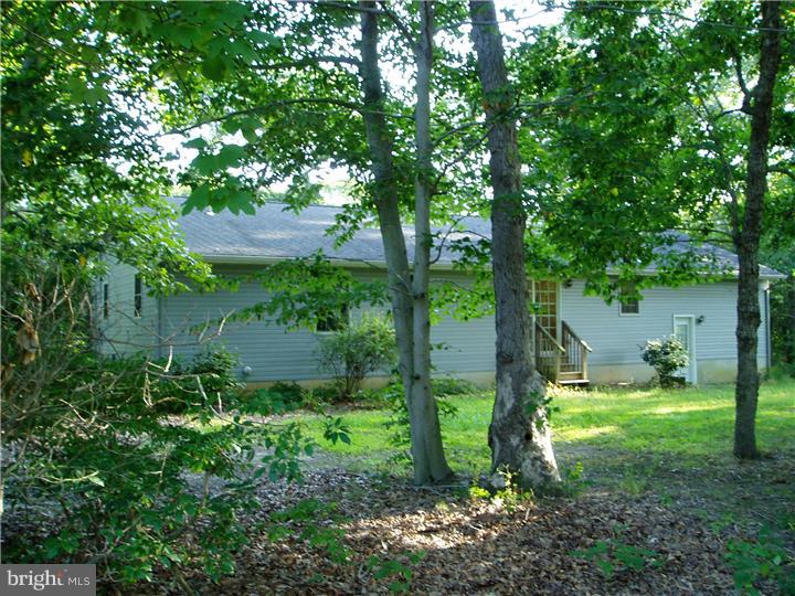 428 Alloway Aldine Road Elmer, NJ 08318 - Photo 21 of 25 Back Yard