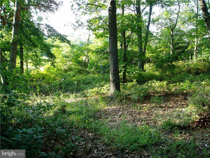 428 Alloway Aldine Road Elmer, NJ 08318 - Photo 23 of 25 View in Back