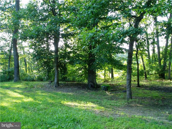 428 Alloway Aldine Road Elmer, NJ 08318 - Photo 24 of 25 View in Back