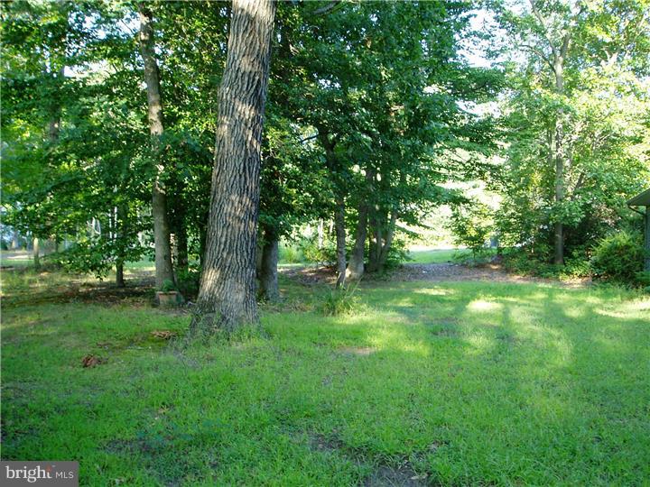 428 Alloway Aldine Road Elmer, NJ 08318 - Photo 25 of 25 View in Back