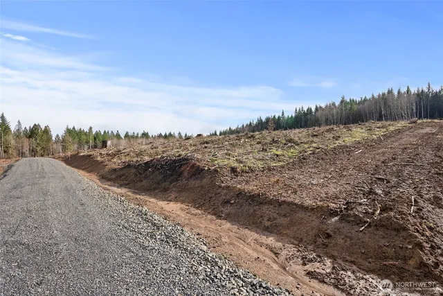 a view of a dry yard with wooden fence