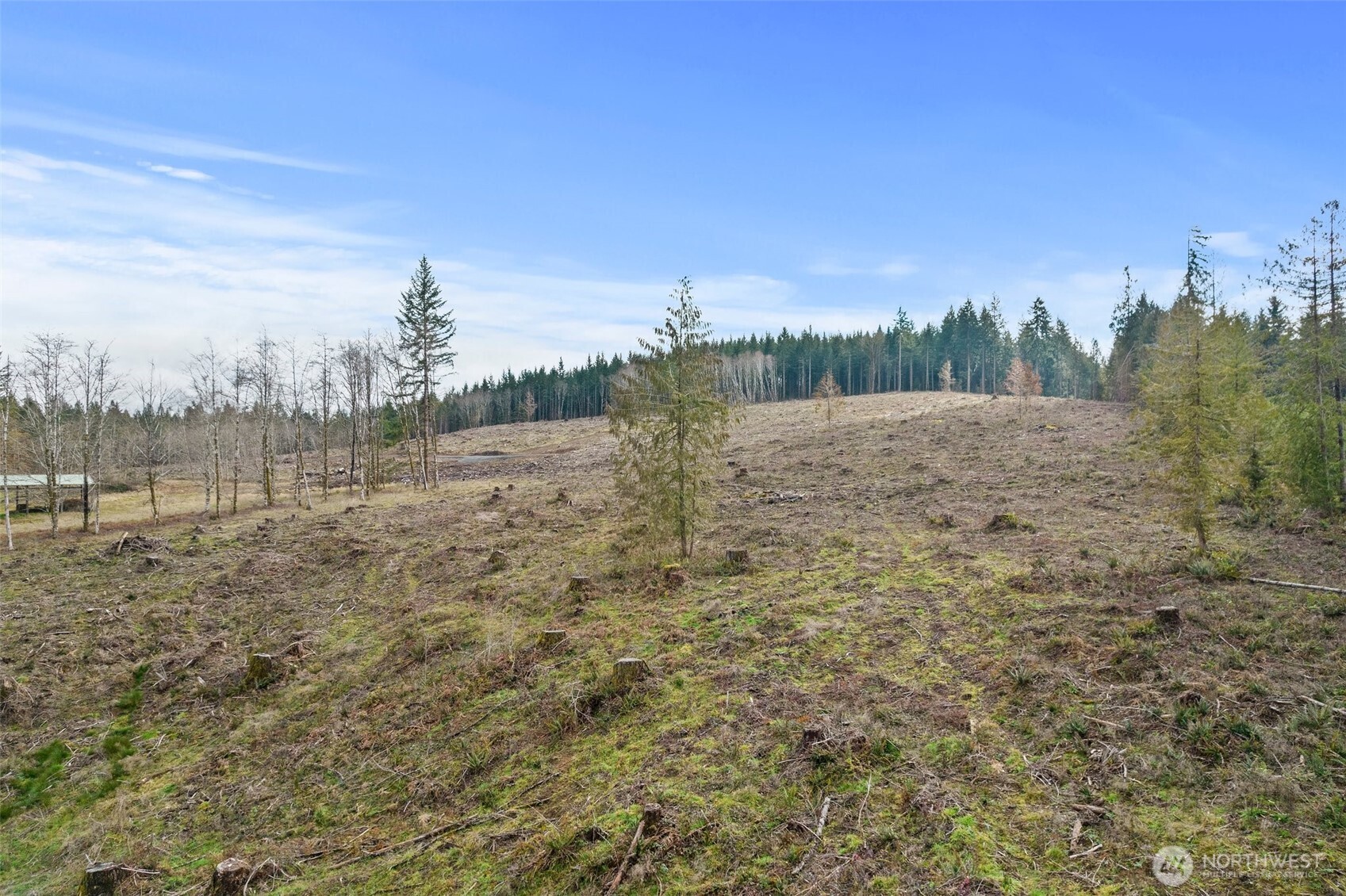 0 Little Hanaford Road, Unit B Centralia, WA 98531 - Photo 15 of 16 a view of a town with trees in the background