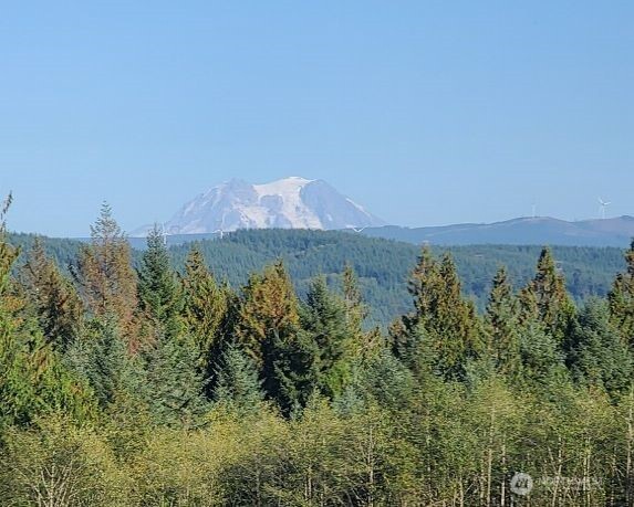 0 Little Hanaford Road, Unit B Centralia, WA 98531 - Photo 3 of 16 an aerial view of a house with a yard and lake view