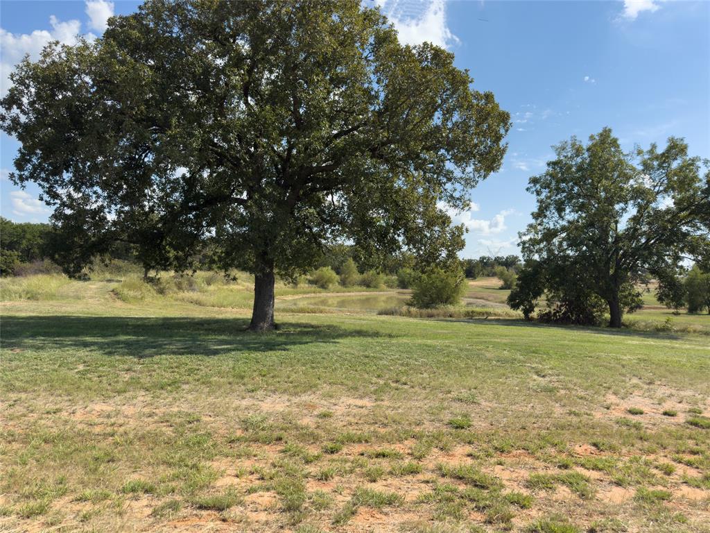 330 Rolling Rnch Boulevard Alvord, TX 76225 - Photo 2 of 21 a view of a trees with a big yard
