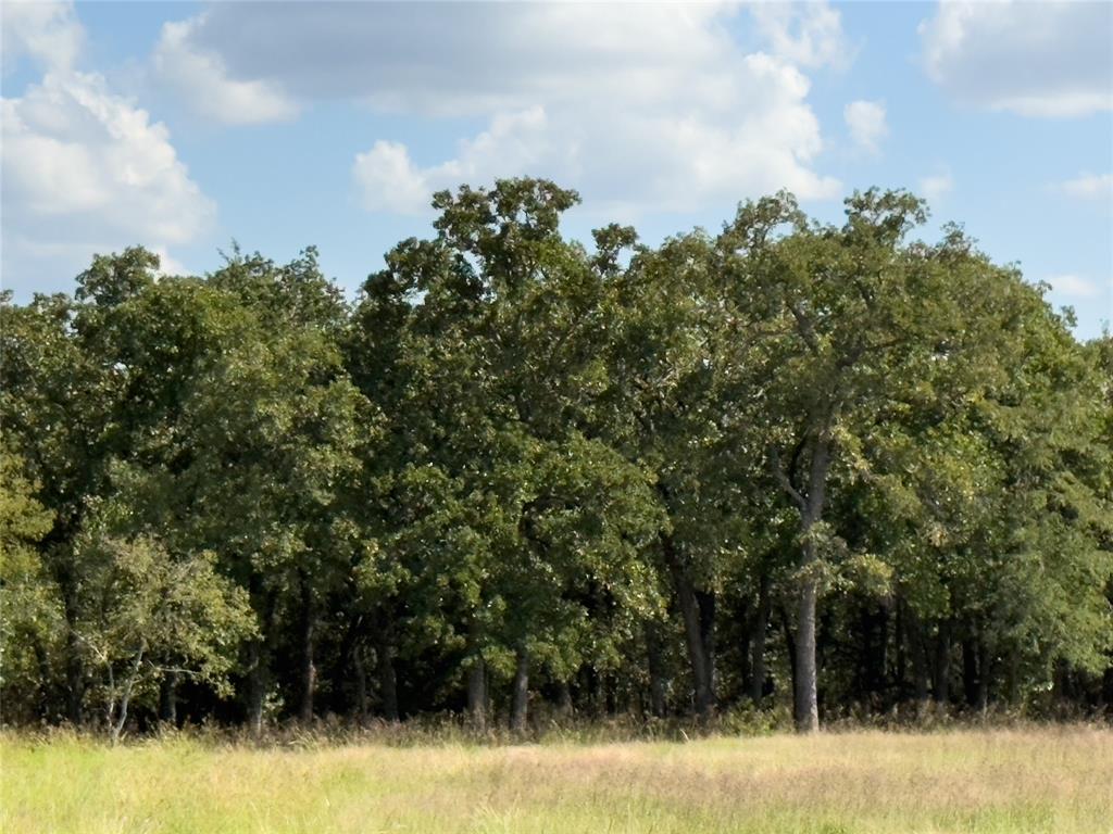 330 Rolling Rnch Boulevard Alvord, TX 76225 - Photo 3 of 21 a view of a yard