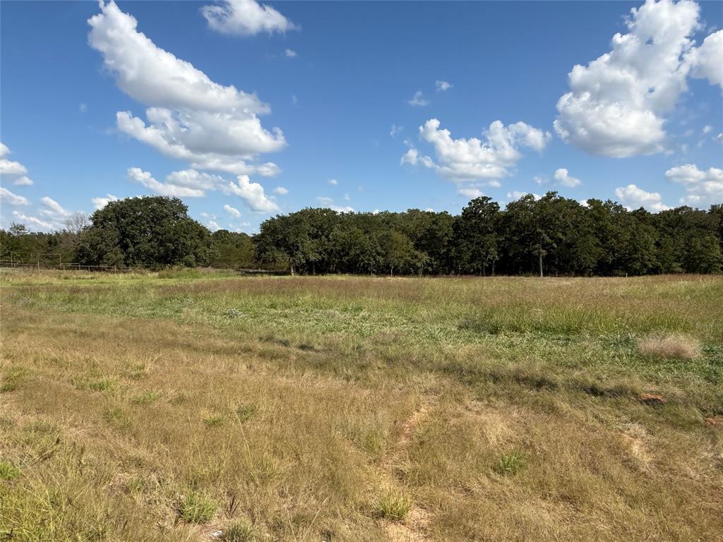 330 Rolling Rnch Boulevard Alvord, TX 76225 - Photo 4 of 21 a view of a lake and mountain in the back