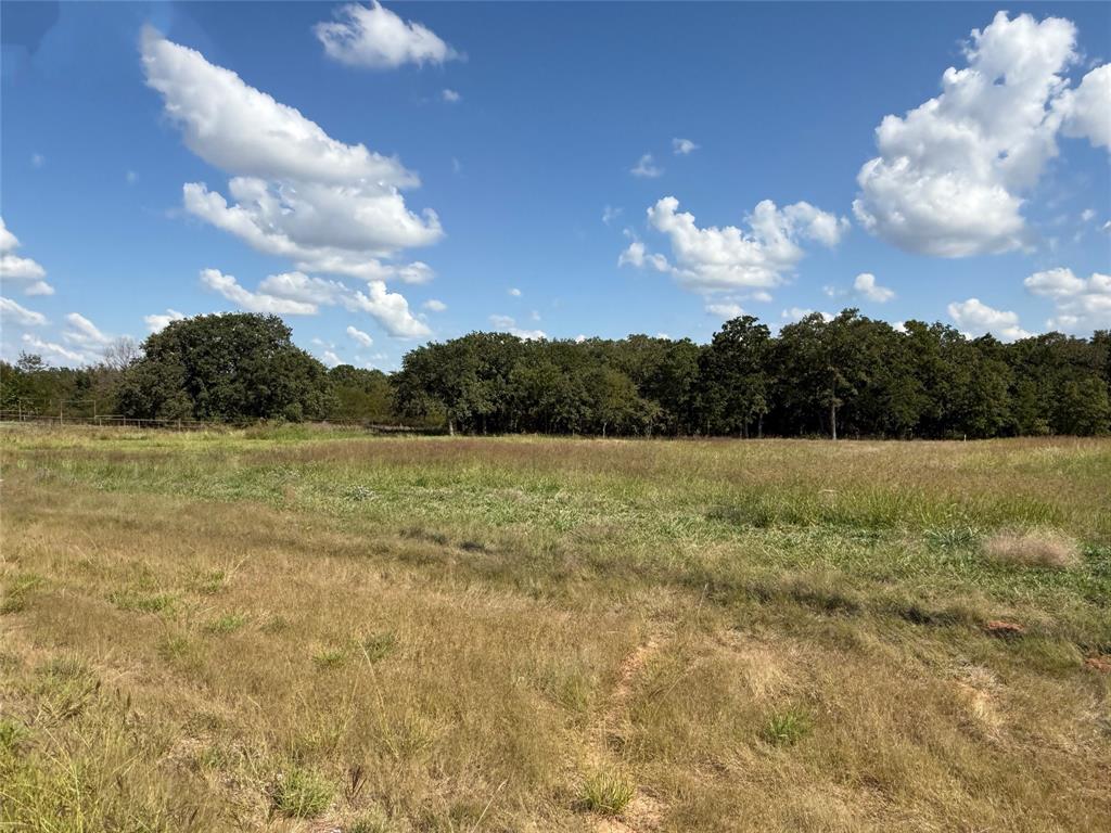 330 Rolling Rnch Boulevard Alvord, TX 76225 - Photo 5 of 21 a view of a lake view