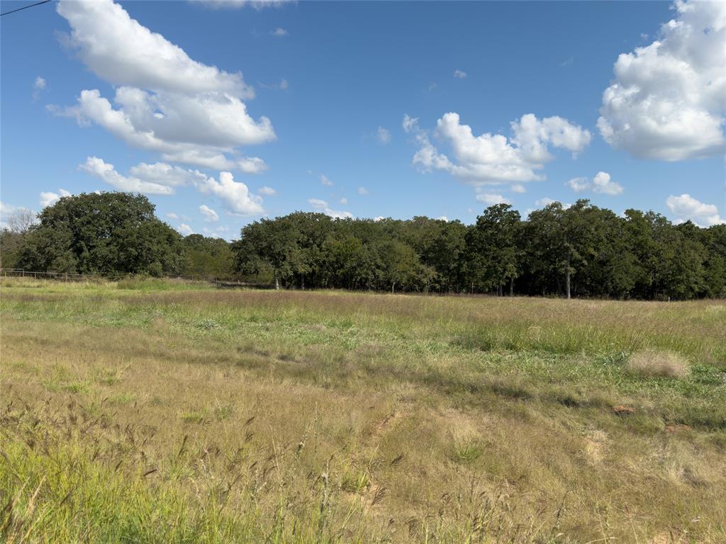 330 Rolling Rnch Boulevard Alvord, TX 76225 - Photo 6 of 21 a view of a yard