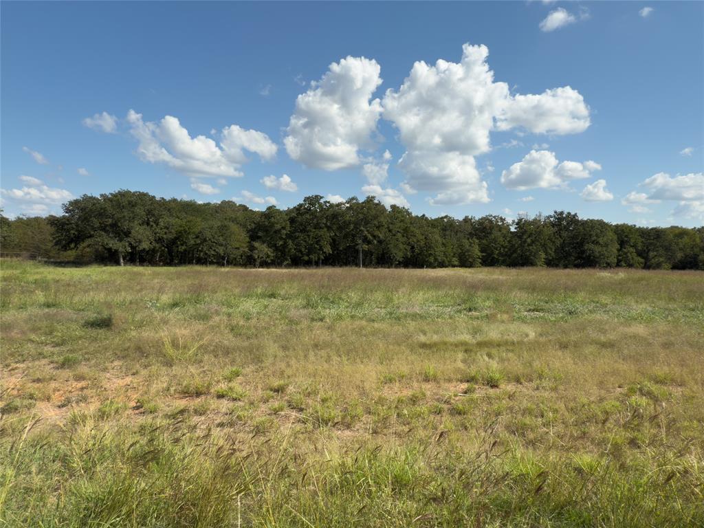 330 Rolling Rnch Boulevard Alvord, TX 76225 - Photo 7 of 21 a view of a lake and mountain in the back