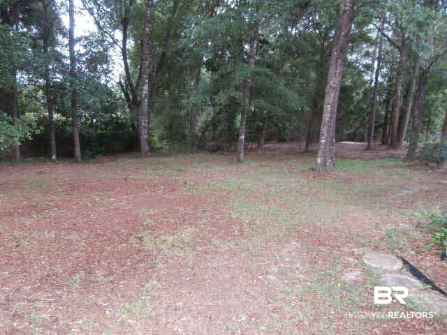 2559 Santa Rosa Drive Lillian, AL 36549 - Photo 14 of 15 Large Backyard