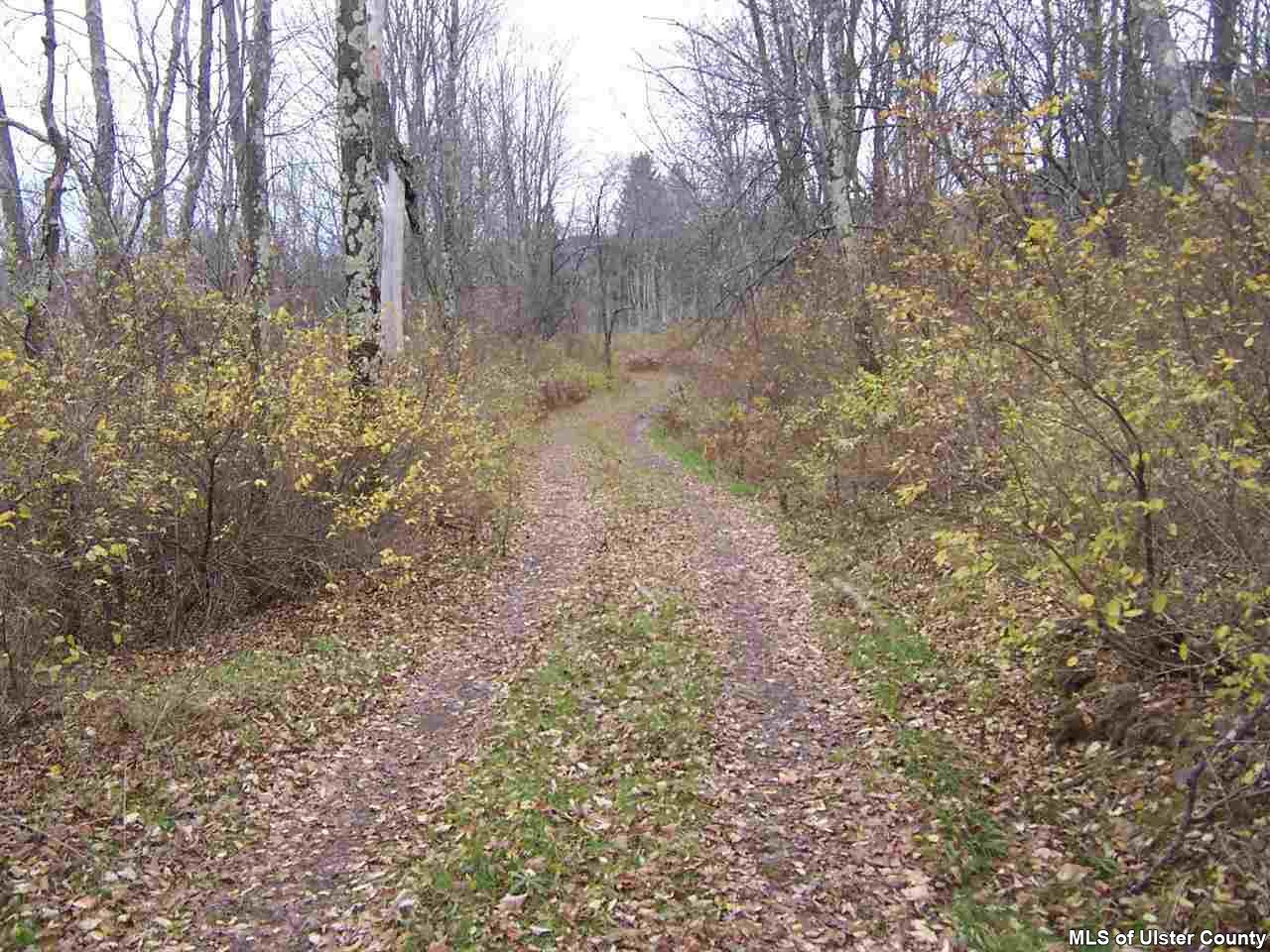 4896 Vega Mountain Road Roxbury, NY 12474 - Photo 14 of 14 a view of a yard with trees