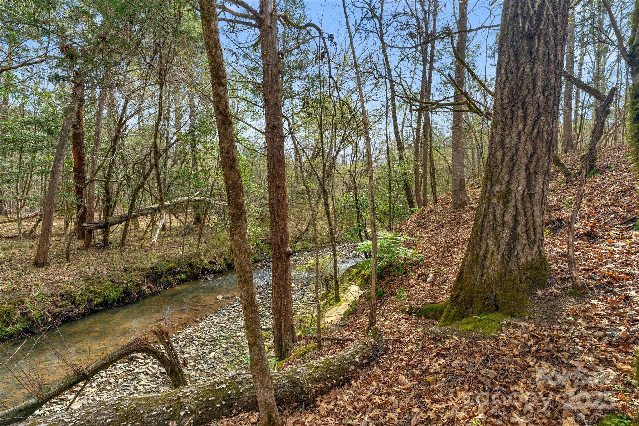 0 Green Road, Unit B Lancaster, SC 29720 - Photo 6 of 20 Gallery Image 6