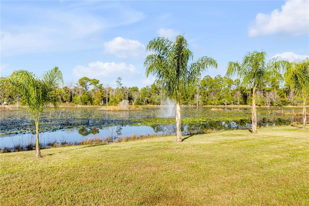 420 Roberts Road Pierson, FL 32180 - Photo 6 of 37