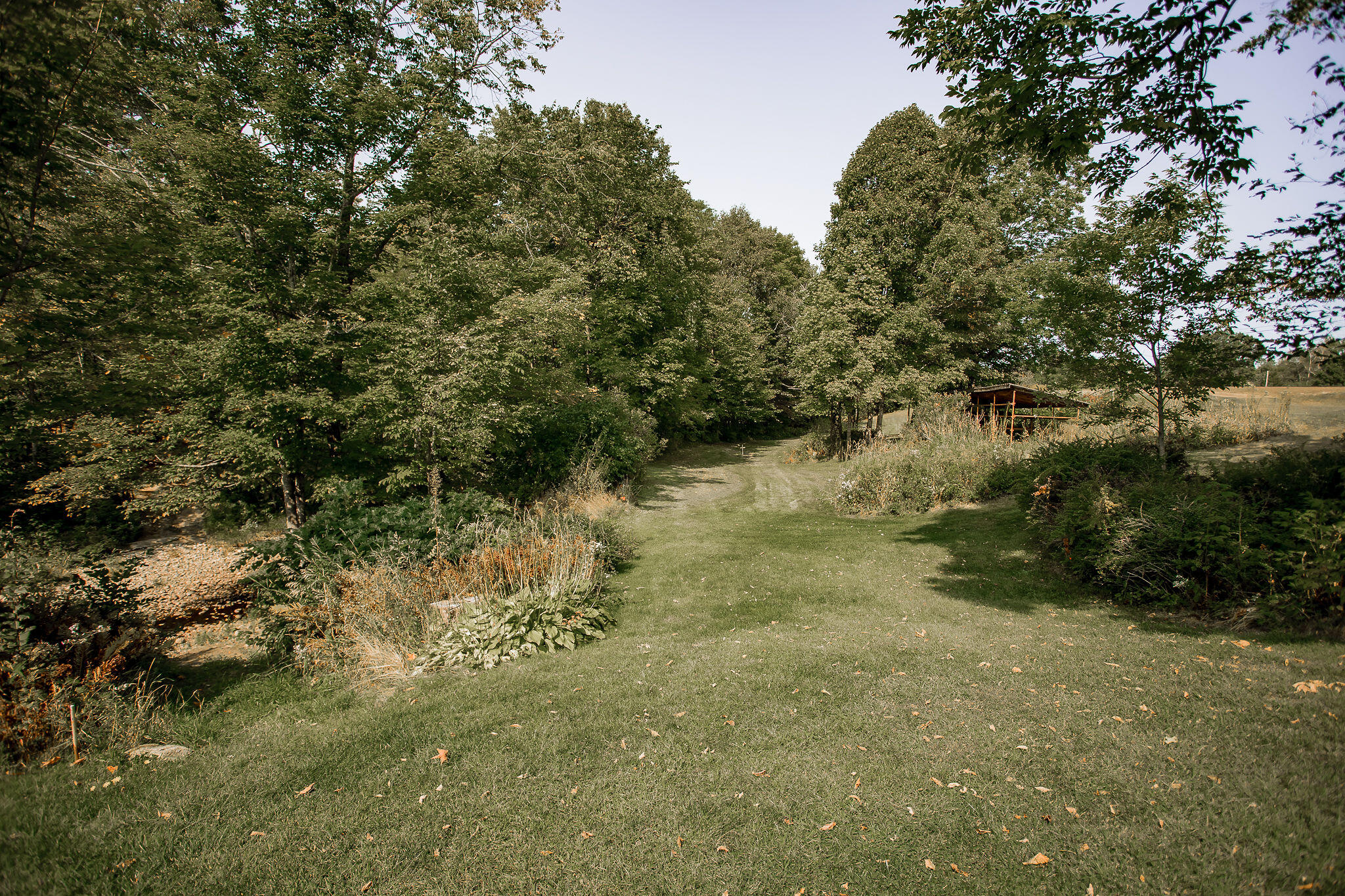 1922 Roxbury Road Roxbury, ME 04275 - Photo 13 of 45 AF6A4856