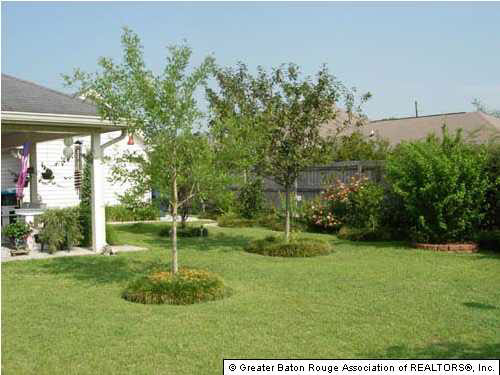 17068 Ronald Road Prairieville, LA 70769 - Photo 2 of 9 Gallery Image 2