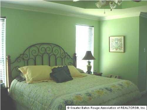 17068 Ronald Road Prairieville, LA 70769 - Photo 6 of 9 Gallery Image 6