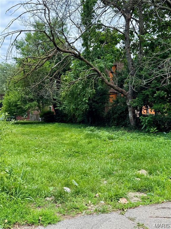 3312 Cherokee Street St. Louis, MO 63118 - Photo 3 of 3