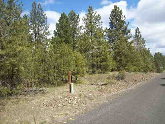 Xxx South Boston Road Cheney, WA 99004 - Photo 1 of 8
