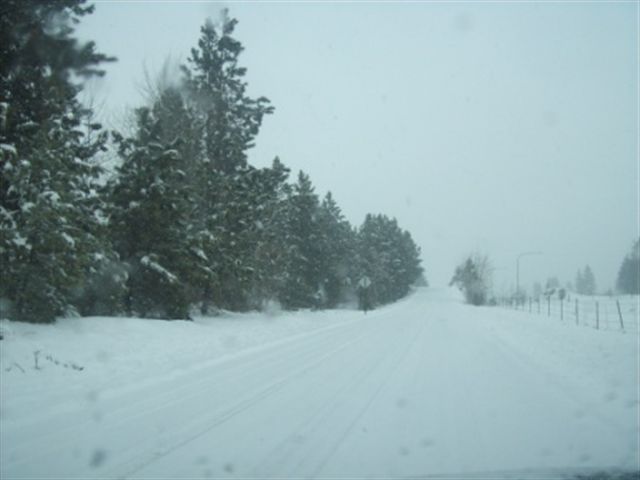 Xxx South Boston Road Cheney, WA 99004 - Photo 8 of 8