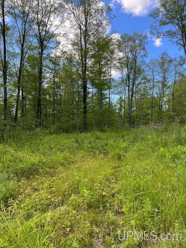 Tbd1 Cut Across Road Michigamme, MI 49861 - Photo 10 of 15