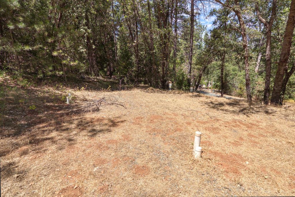 20310 State Rte 26 West Point, CA 95255 - Photo 44 of 61