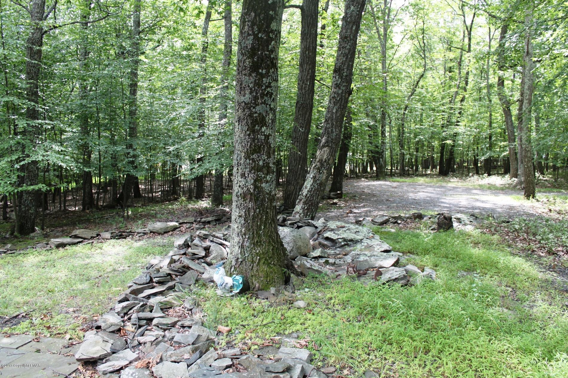 238 Gold Finch Road Bushkill, PA 18324 - Photo 12 of 19 Front area