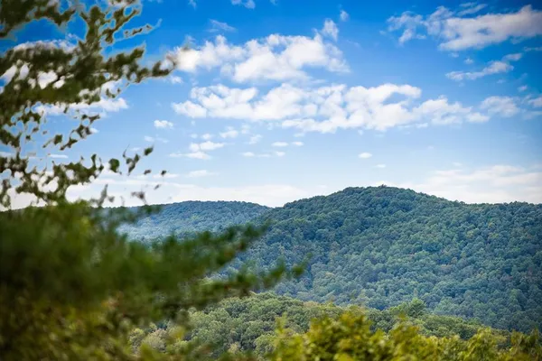 $72,000 | Lot 16 Buckskin Drive, Cherry Log, GA 30522