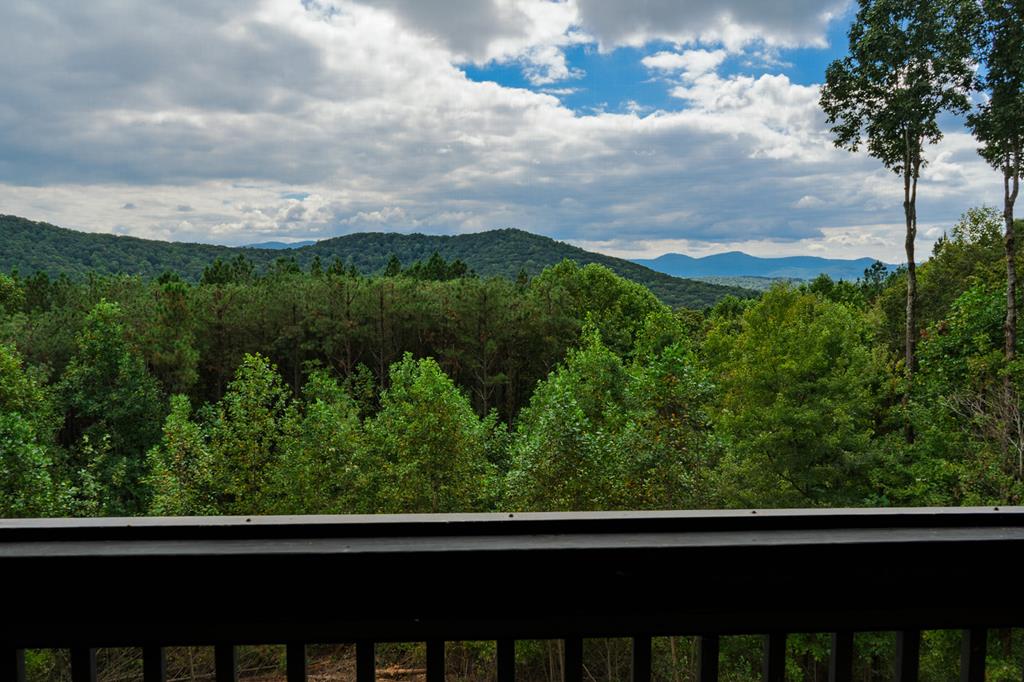239 Ridge Top Drive Ellijay, GA 30536 - Photo 8 of 97
