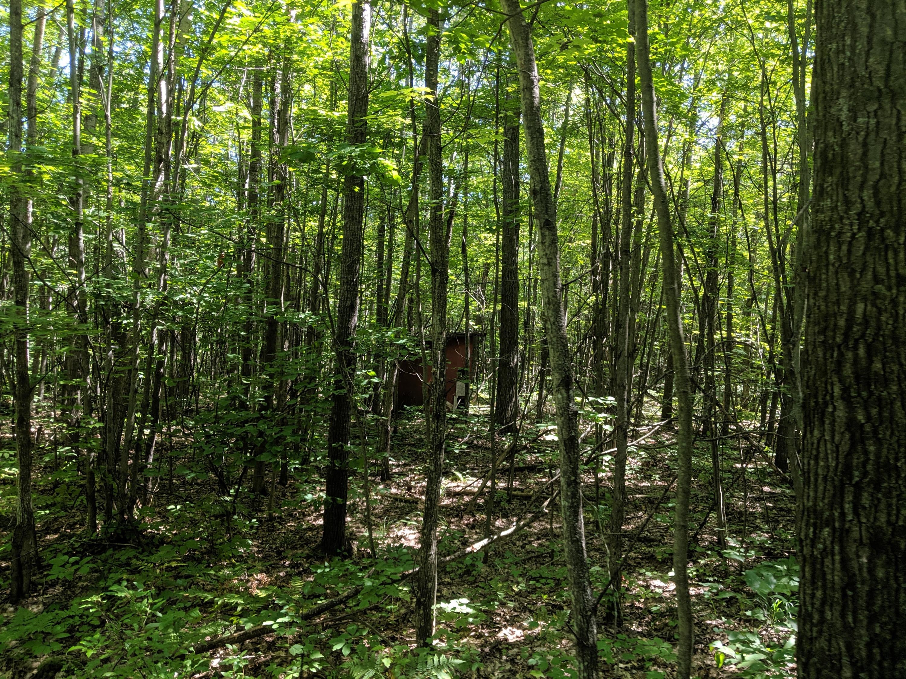 Hardy Grade Road Mio, MI 48647 - Photo 6 of 22 Gallery Image 6