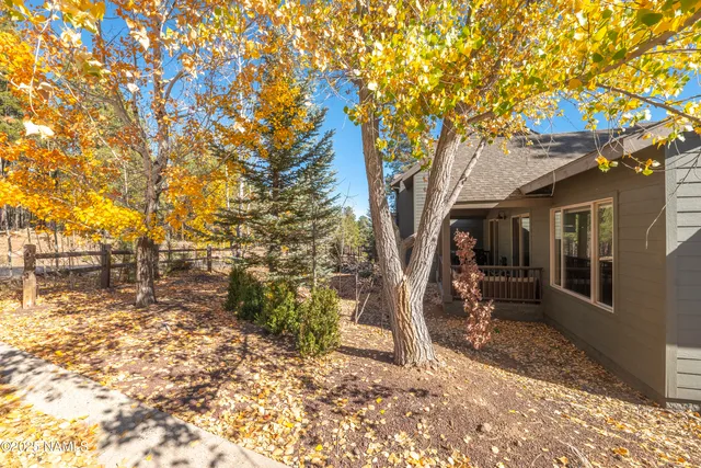 a view of a yard with a tree