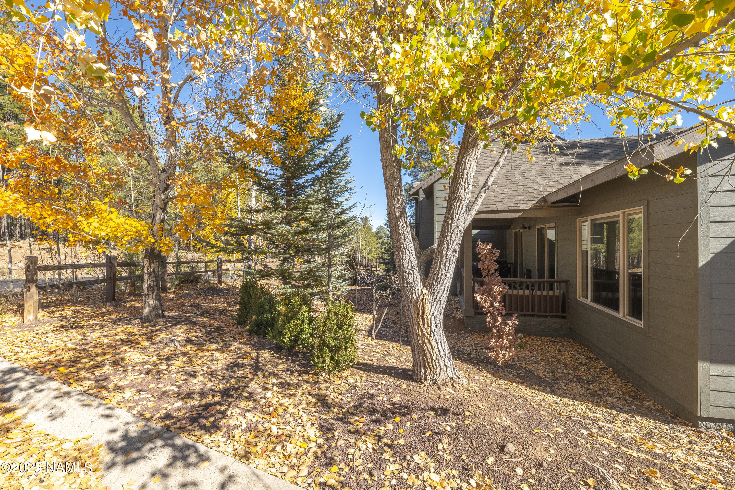 4900 West Quick Draw Flagstaff, AZ 86005 - Photo 2 of 36 a view of a yard with a tree