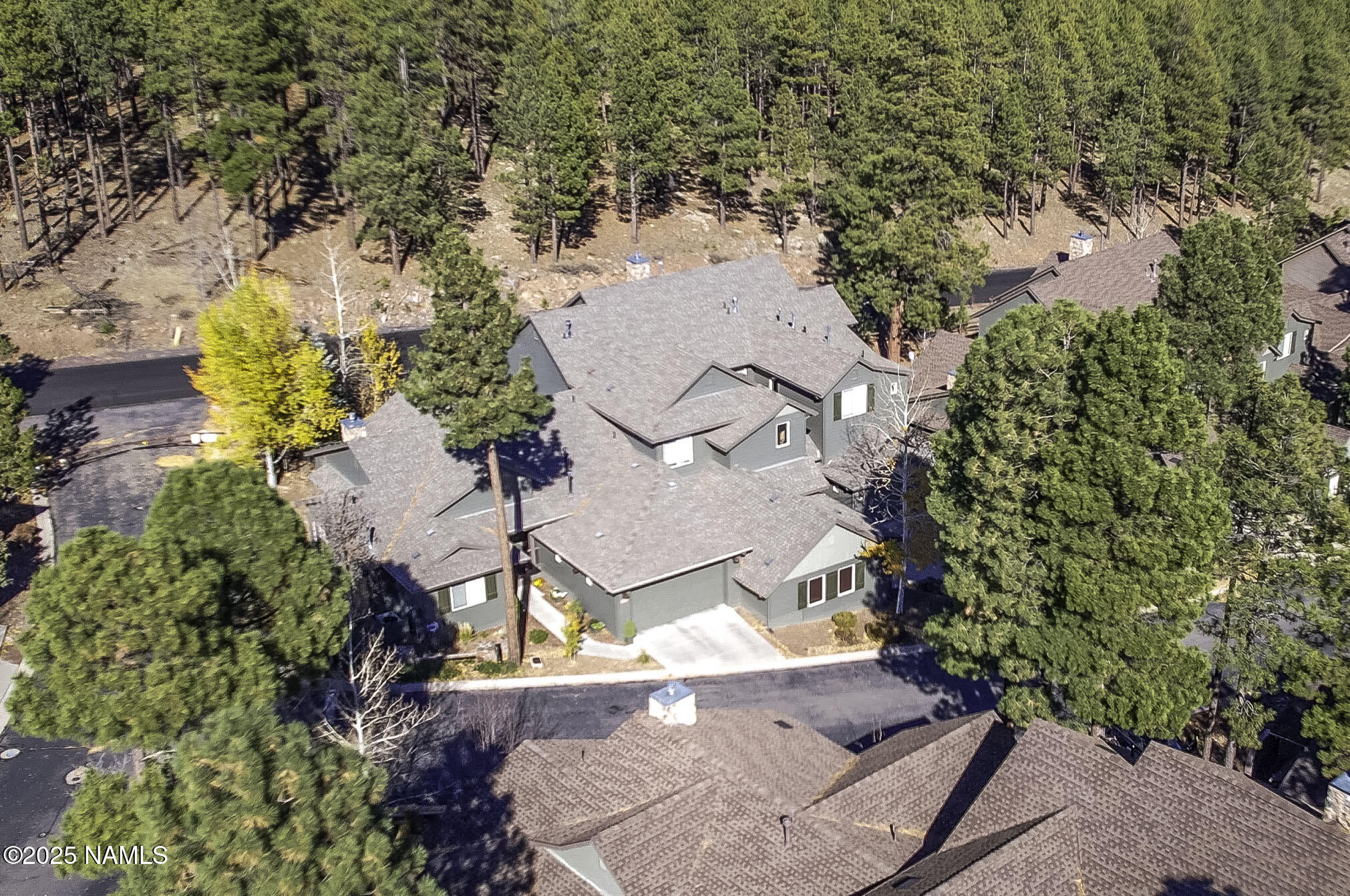 4900 West Quick Draw Flagstaff, AZ 86005 - Photo 24 of 36 a view of a garden
