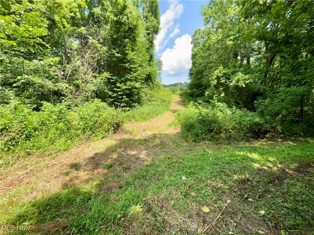 70810 Angus Road Kimbolton, OH 43749 - Photo 10 of 12 View of undeveloped land