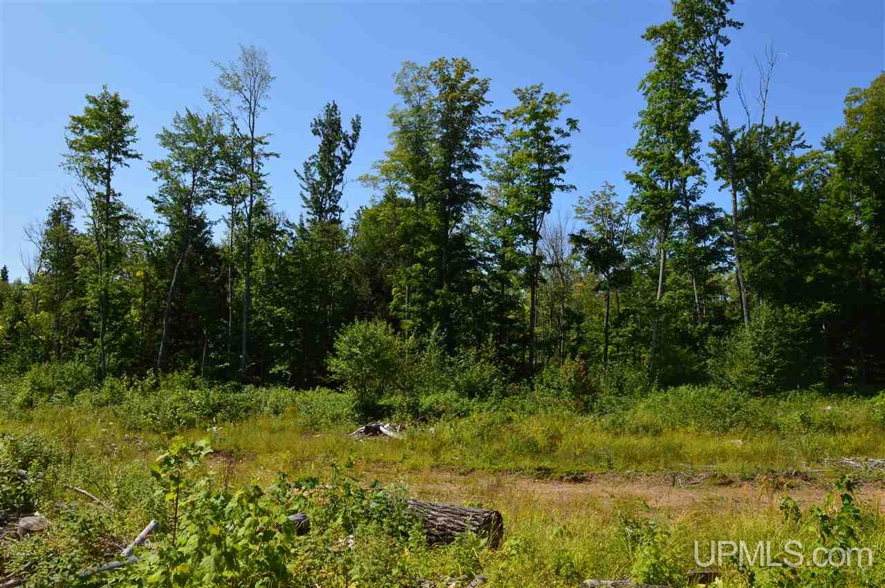 Tbd Lakeview Road Toivola, MI 49965 - Photo 30 of 43 Gallery Image 30