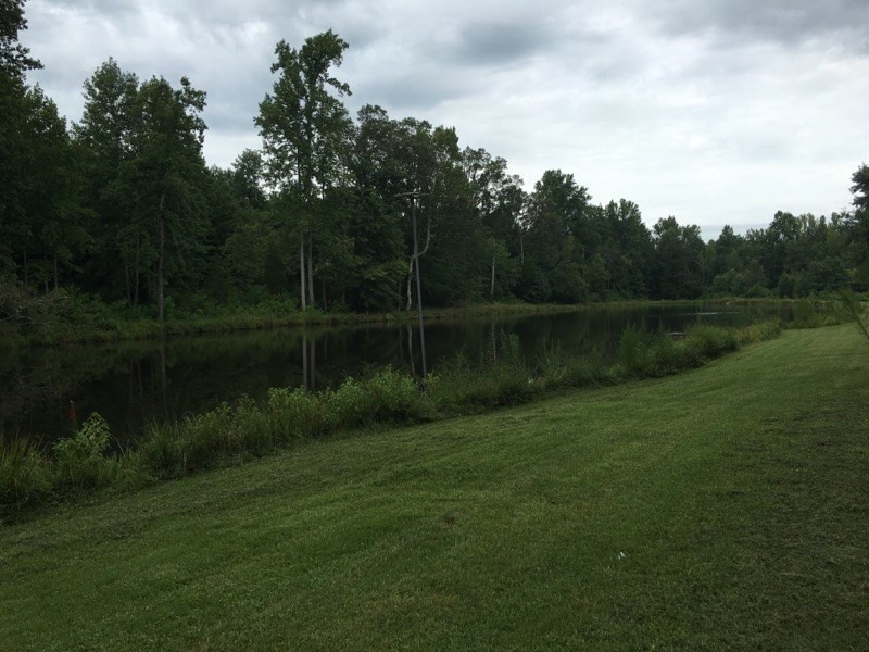 10015 Quail Roost Road Bahama, NC 27503 - Photo 7 of 10 walk out the back door and go fishing!