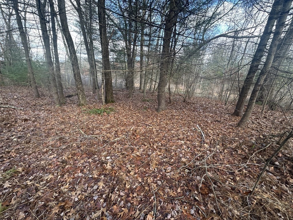 Lot 32 Sheep Pasture Road Southwick, MA 01077 - Photo 8 of 11 Gallery Image 8