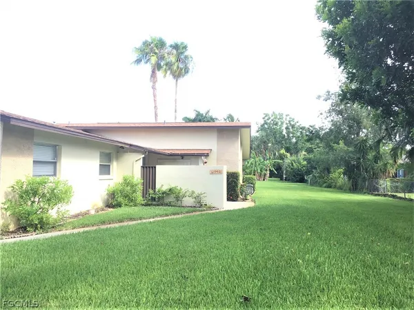 a view of a backyard with plants and large trees