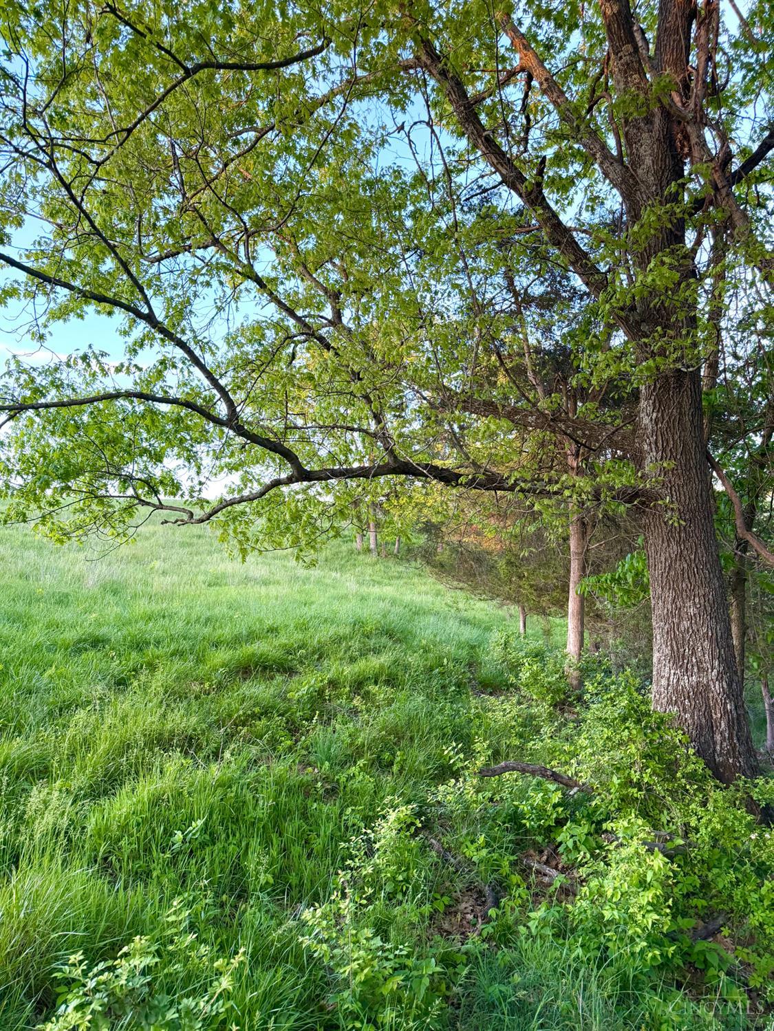 0 Maynard Road Ripley, OH 45167 - Photo 85 of 99