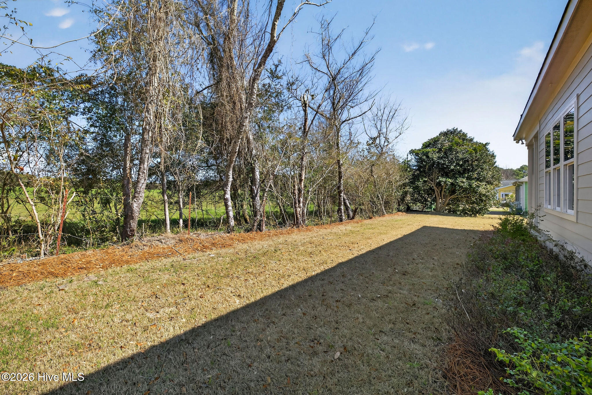 5988 Gray Squirrel Path Southport, NC 28461 - Photo 39 of 52 Backyard view.