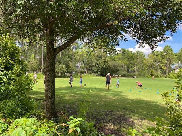 290 Jack Knife Drive Watersound, FL 32461 - Photo 30 of 40 a view of field with trees in the background