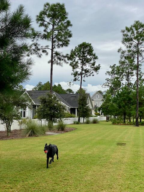 290 Jack Knife Drive Watersound, FL 32461 - Photo 31 of 40 a backyard of a house with lots of green space
