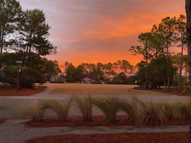 290 Jack Knife Drive Watersound, FL 32461 - Photo 32 of 40 a view of an outdoor space