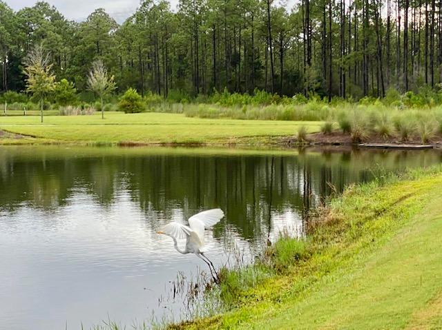 290 Jack Knife Drive Watersound, FL 32461 - Photo 33 of 40