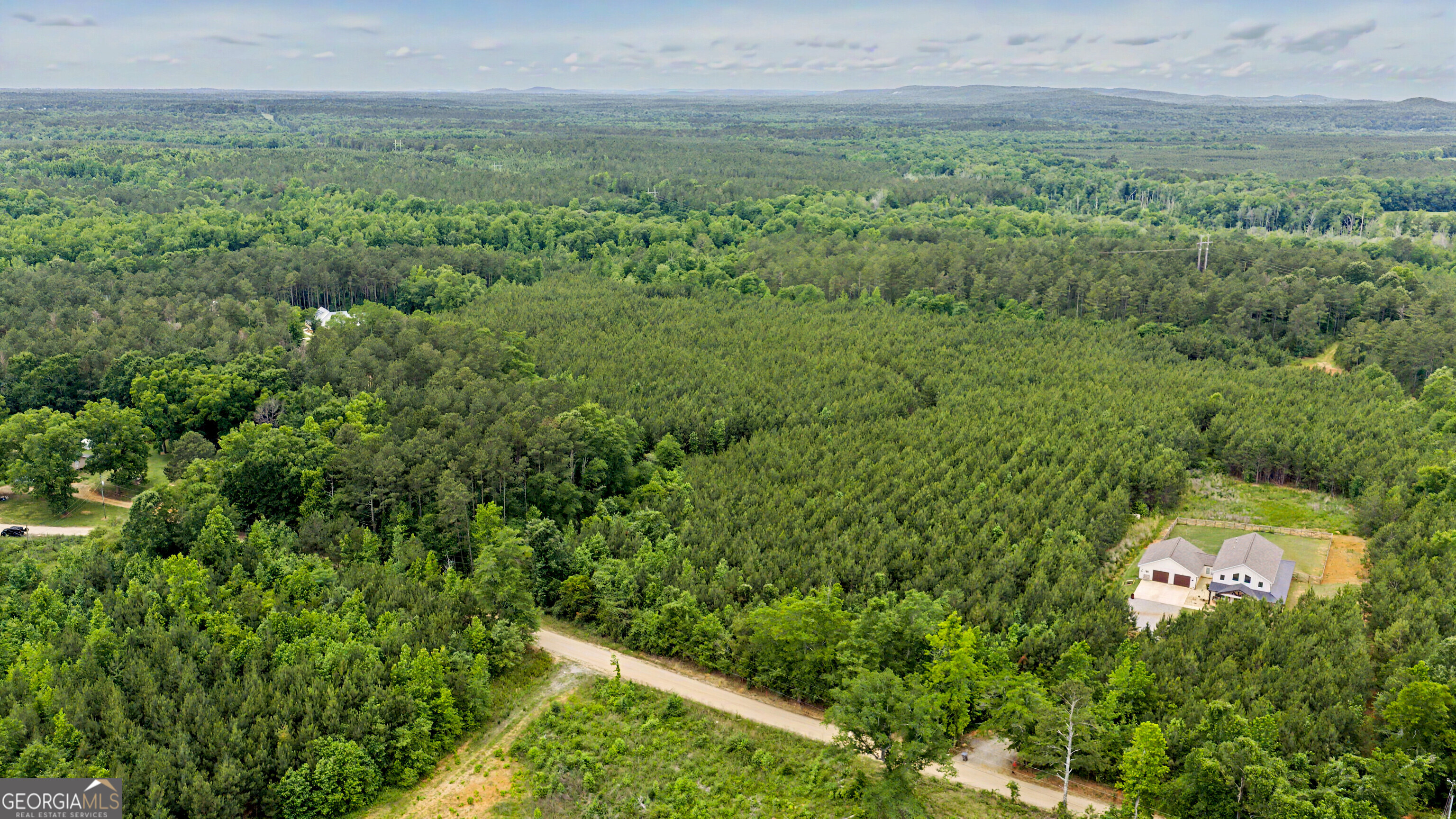 0 Perkins Road Barnesville, GA 30204 - Photo 6 of 13