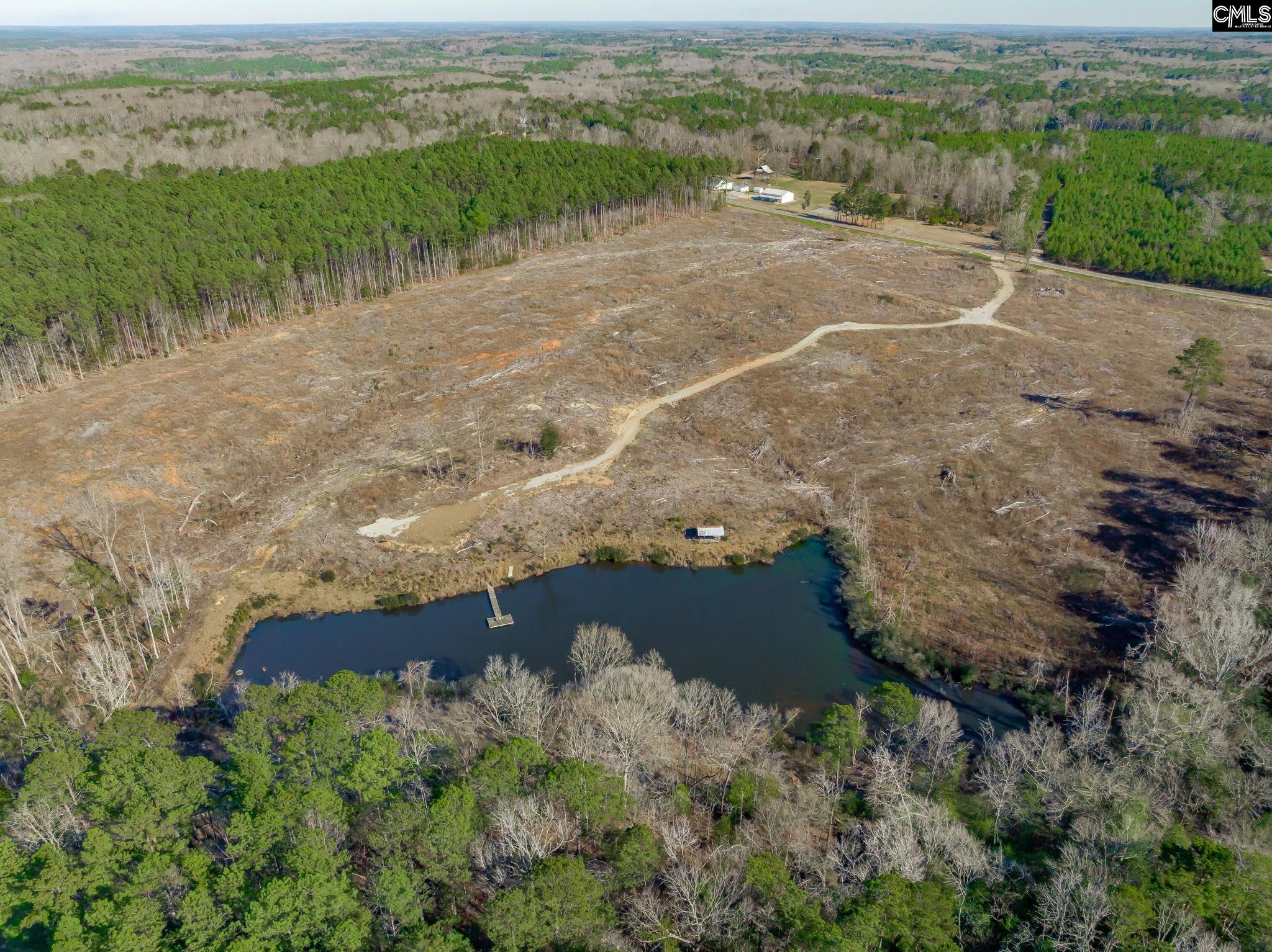 501 Crooked Creek Road Chapin, SC 29036 - Photo 7 of 28