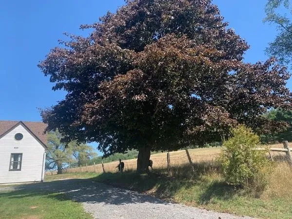 $240,000 | 4600 Mountain Turnpike, Monterey, VA 24465