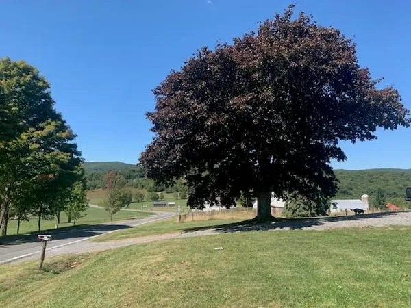 $240,000 | 4600 Mountain Turnpike, Monterey, VA 24465