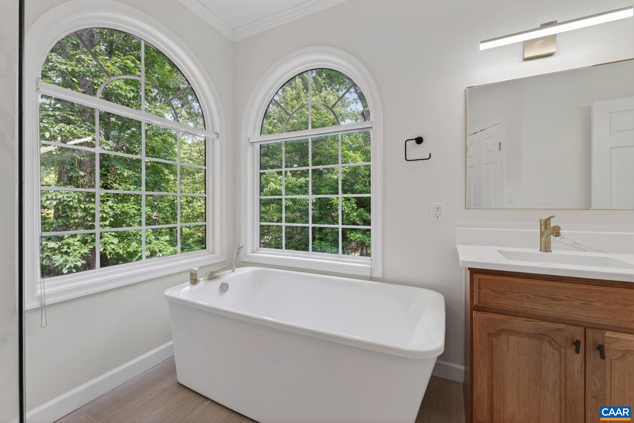13 Condor Road Palmyra, VA 22963 - Photo 23 of 61